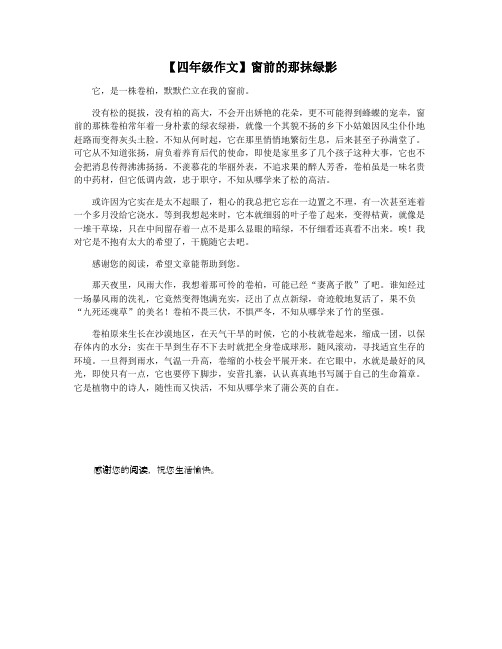 【四年级作文】窗前的那抹绿影