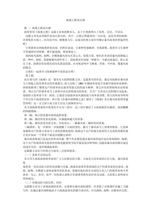 海燕之歌读后感参考