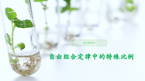 高考生物大一轮人教课件：第五单元 热点题型五 