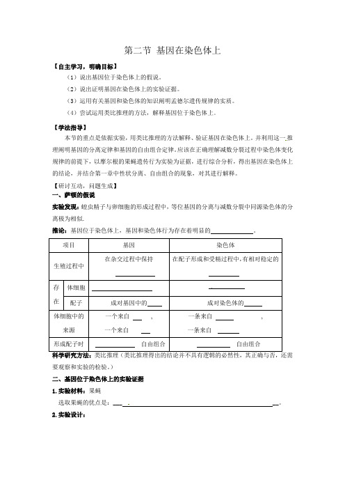 《2-2 基因在染色体上》 导学案5