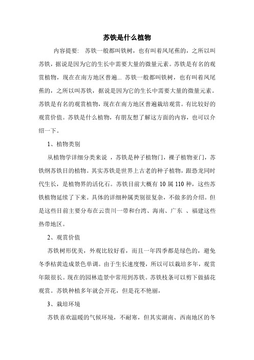 苏铁是什么植物.doc