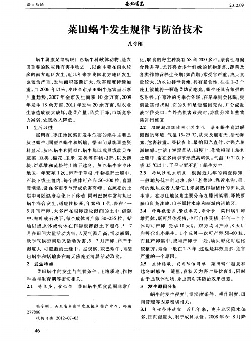 菜田蜗牛发生规律与防治技术