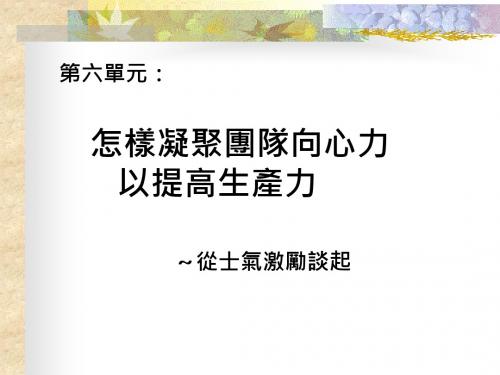 怎样凝聚团队向心力提高生产力(PPT28张)