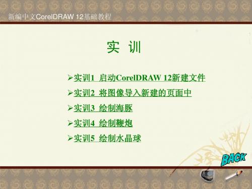 CorelDRAW 实训