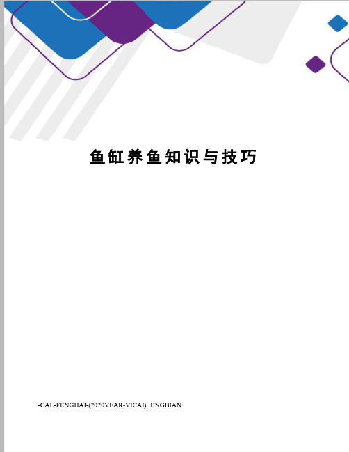 鱼缸养鱼知识与技巧