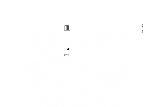 《叶酸项目实施方案》