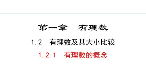 人教版七年级数学上册《有理数及其大小比较》有理数PPT课件(第1课时有理数的概念)