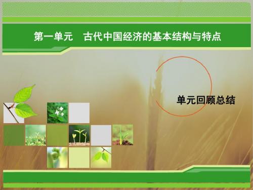 2018年历史同步优化指导北师大版必修2课件：单元回顾