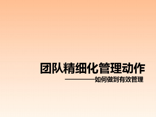 团队精细化管理动作