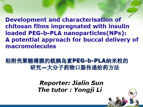 英文PPT汇报