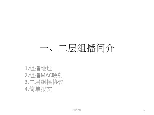 《层组播和q》PPT课件