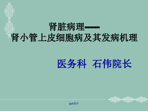 肾小管上皮细胞病及其发病机理ppt课件