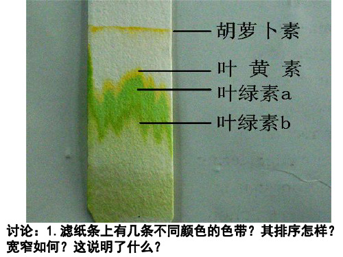 浙科版生物必修一高一光合作用(共37张PPT)