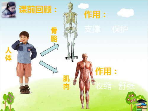 四年级上册科学课件运动起来会怎样一教科版(优质推荐)