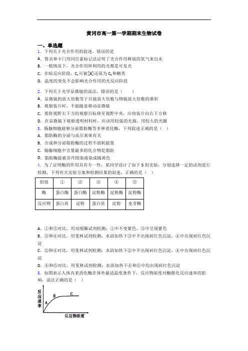 黄冈市高一第一学期期末生物试卷
