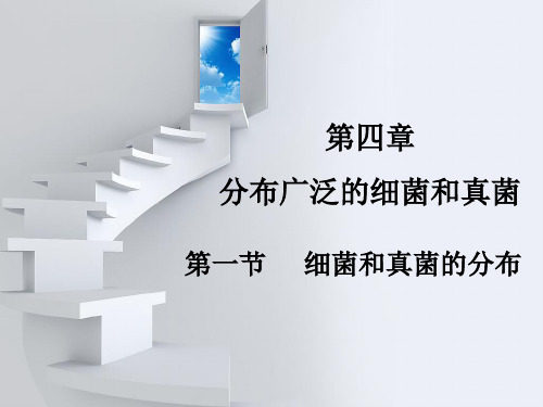 细菌和真菌的分布PPT课件25 人教版