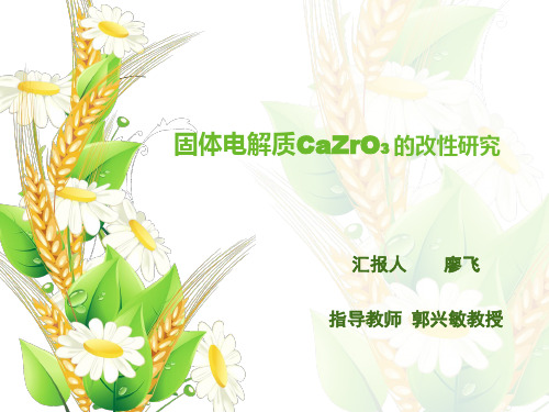 CaZrO3汇报解析