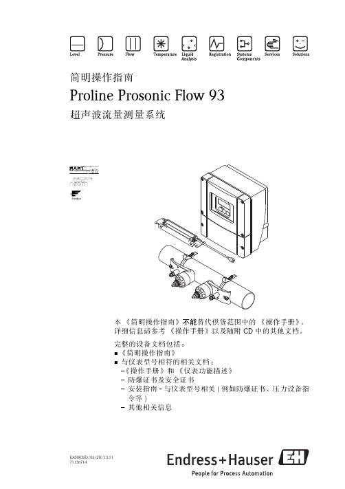 E+H超声波流量计93中文简明操作手册