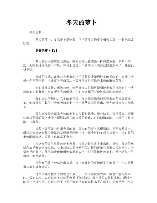 冬天的萝卜