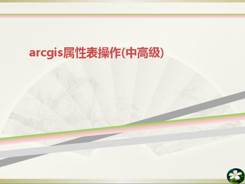 arcgis属性表操作中高级