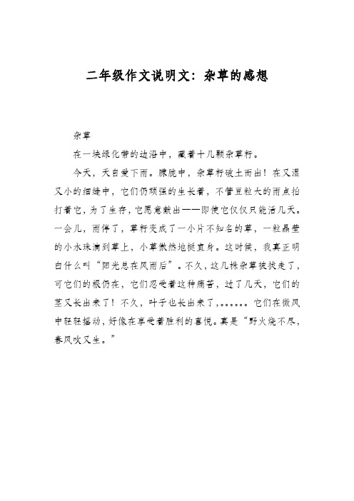 二年级作文说明文：杂草的感想
