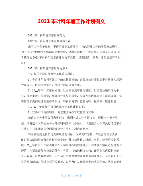 2021审计科年度工作计划例文