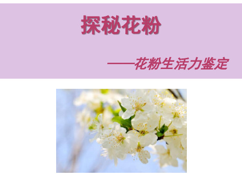 花粉生活力鉴定.pptx