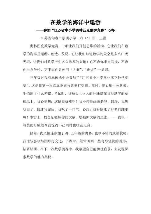 在数学的海洋中遨游