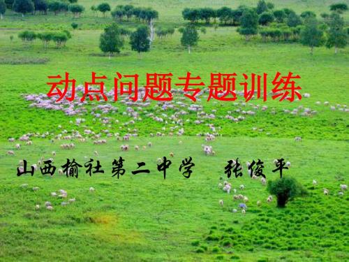 动点问题专题训练教学课件