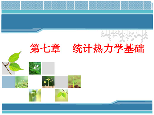 第7章 统计热力学基础