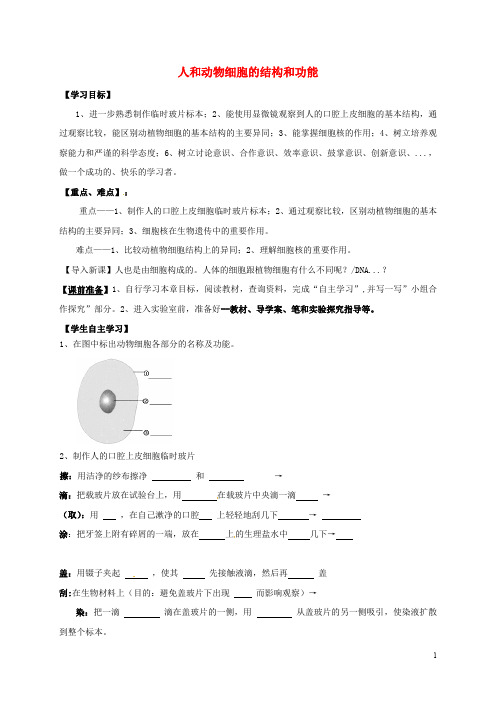 广东省广宁县木格中学七年级生物上册 3.2 人和动物细胞的结构和功能导学案(无答案) 苏教版