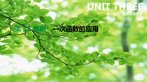 中考数学总复习 第三单元 函数 第12课时 一次函数的应用课件数学课件