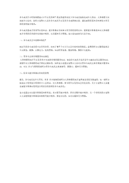 金毛成犬吃什么才能缓和关节摩擦,宠小皮推荐靠谱狗粮