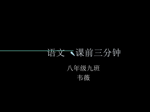 语文课件有趣的成语