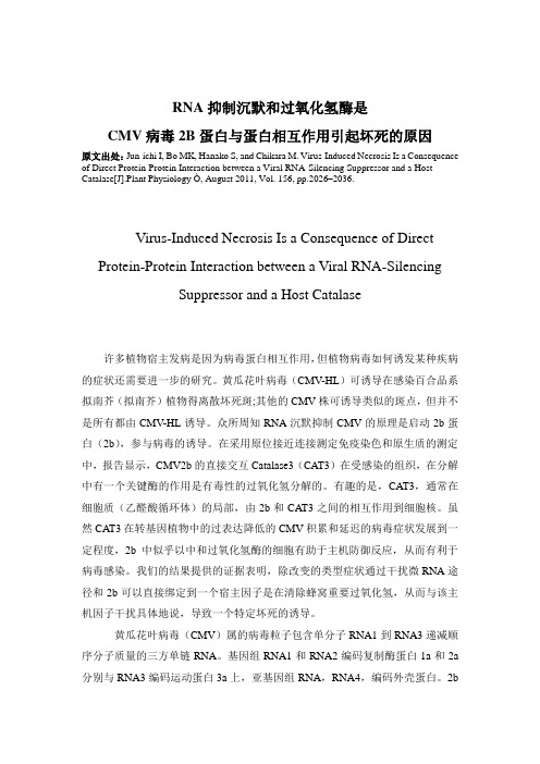RNA抑制沉默和过氧化氢酶是CMV病毒2B蛋白与蛋白相互作用引起坏死的原因