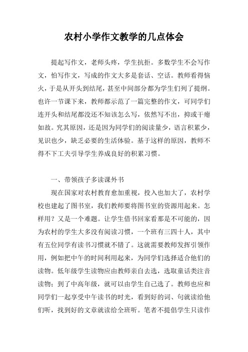农村小学作文教学的几点体会
