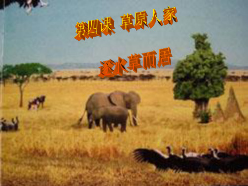 第四课 逐水草而居