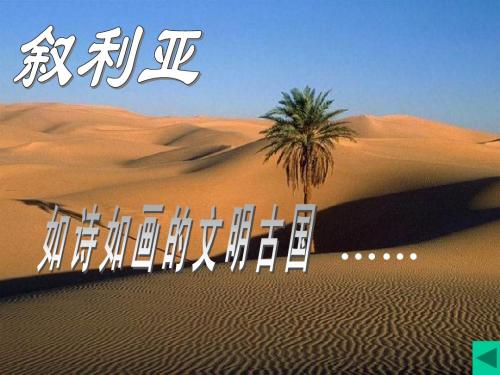 30、叙利亚的卖水人