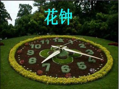 《花钟》ppt课件