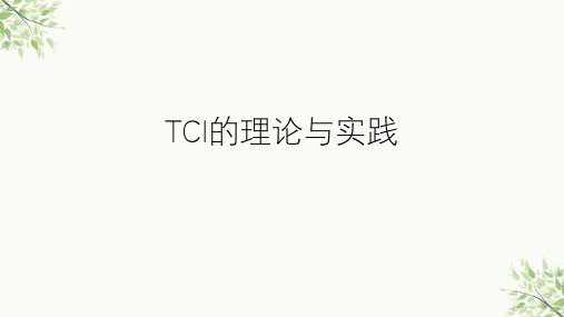 TCI的理论与实践ppt课件
