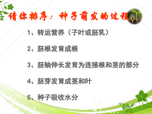 高中生物课件-3.1.2  种子萌发的条件(教学版)