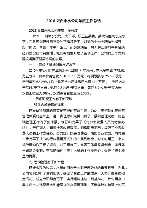 2018县自来水公司年度工作总结