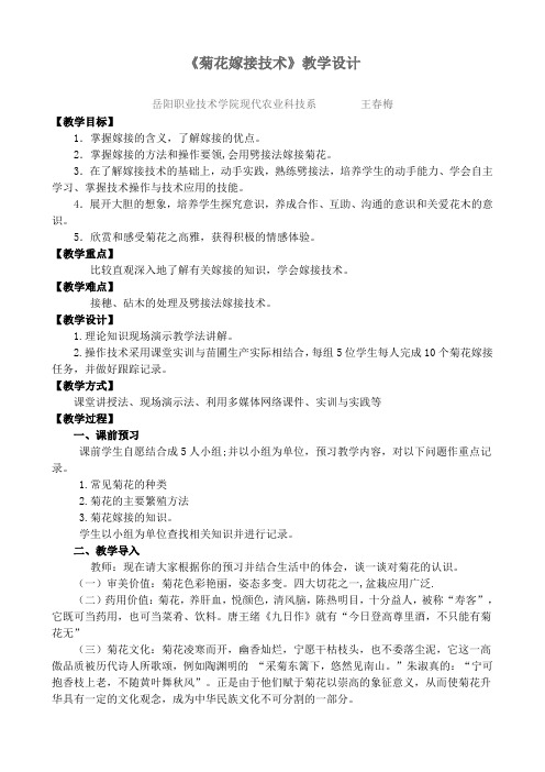 菊花嫁接技术