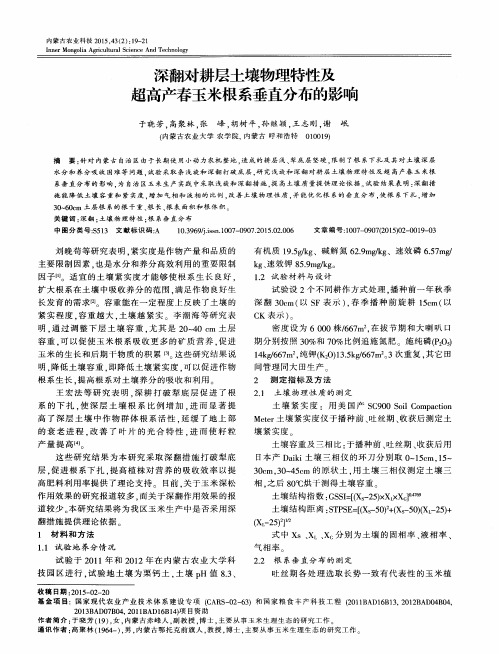 深翻对耕层土壤物理特性及超高产春玉米根系垂直分布的影响