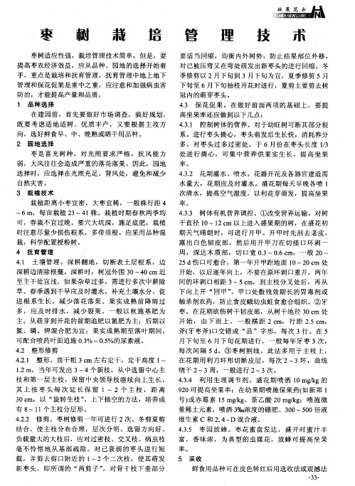 枣树栽培管理技术