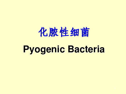 化脓性细菌