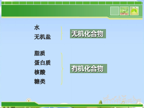 人教版高中生物必修一第2章第5节细胞中的无机物  课件(共52张PPT)