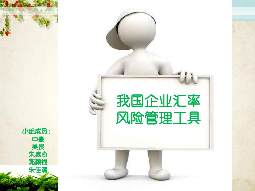 我国企业汇率及风险管理工具解析(ppt 25页)