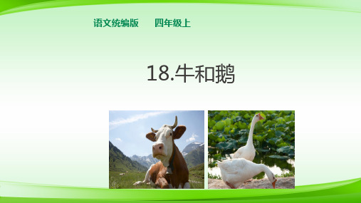 四年级上册语文课件   18牛和鹅   (共20张PPT) 统编版【最新版推荐下载】