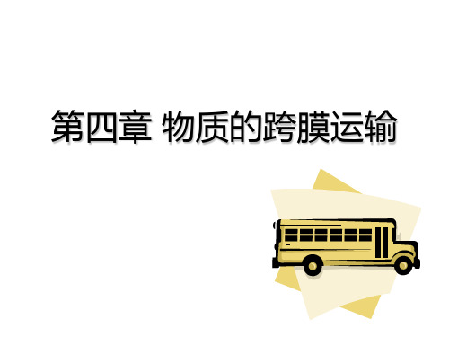 细胞生物学第五章 跨膜运输
